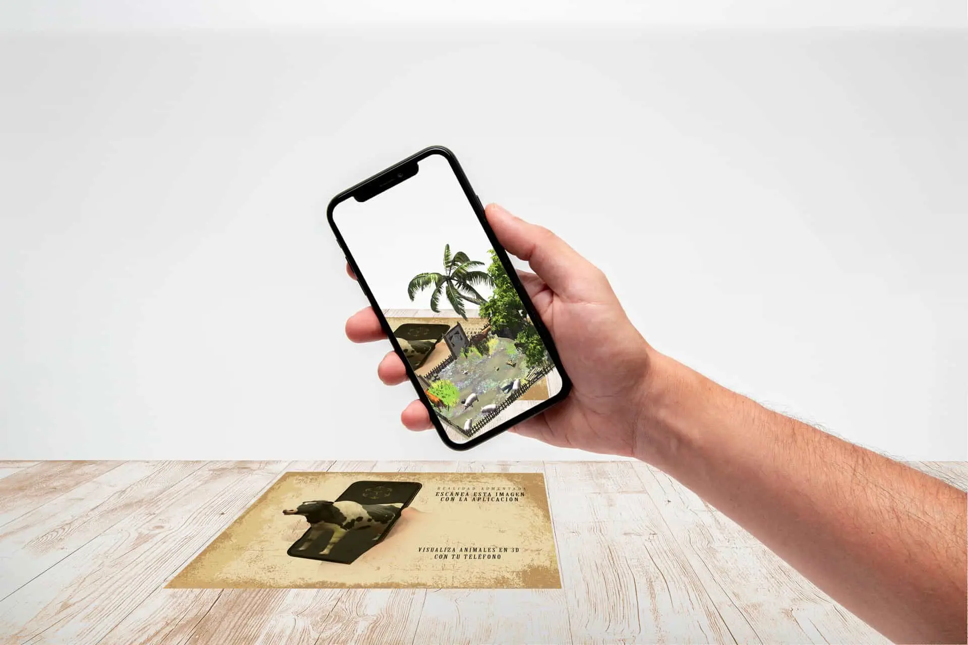 Más de 15 años desarrollando software a medida